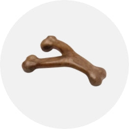 Chew Toys