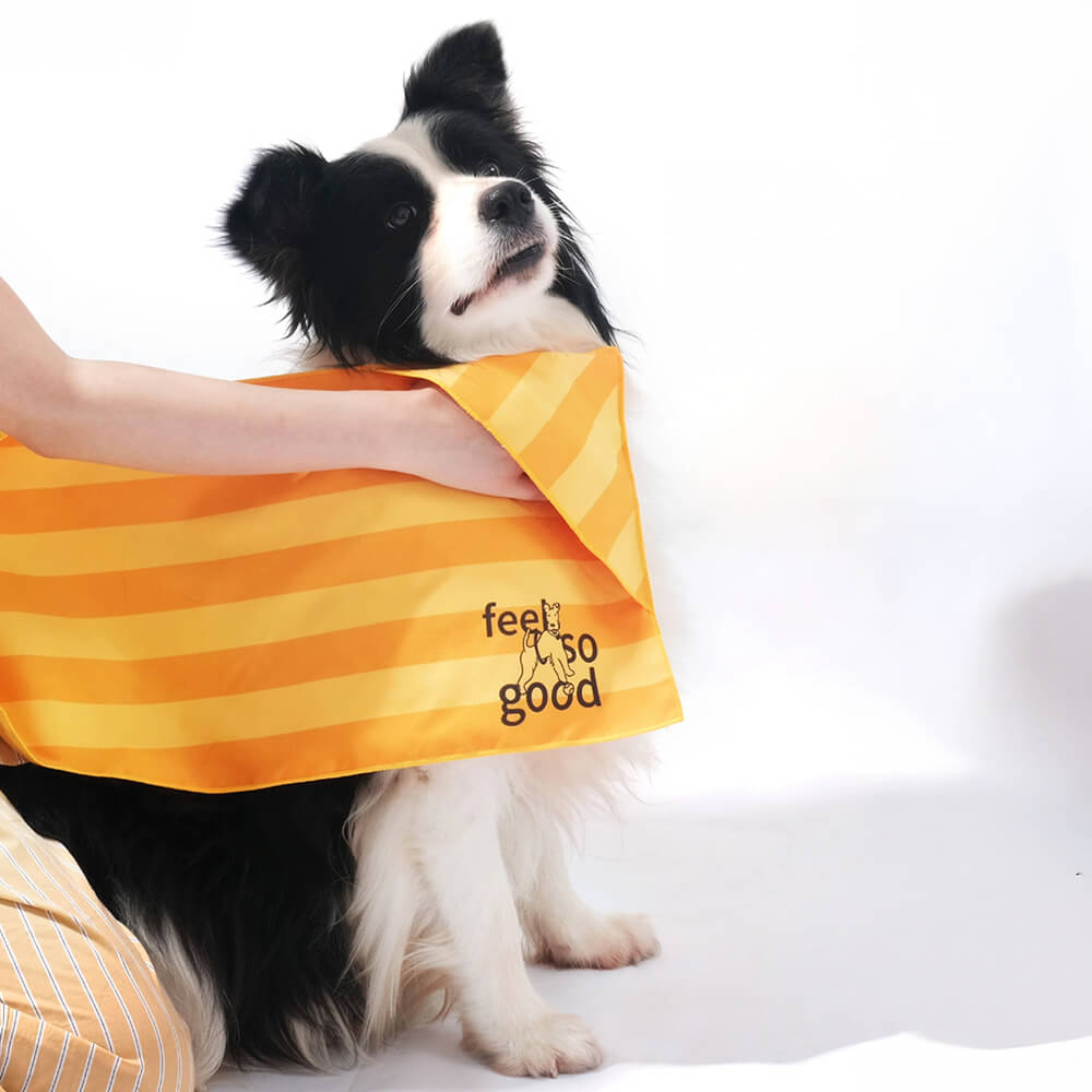 Manta de toalla para perros de viaje de color de viaje rápido ultra absorbente