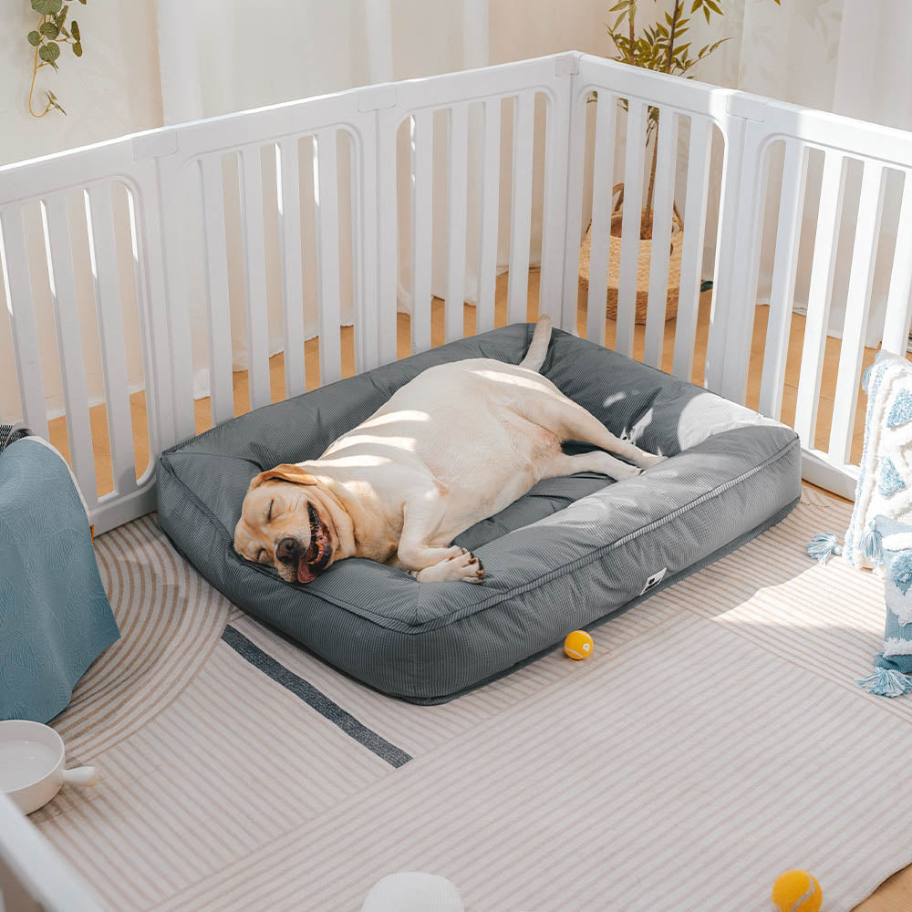 Lit pour grand chien imperméable à support surround entièrement orthopédique