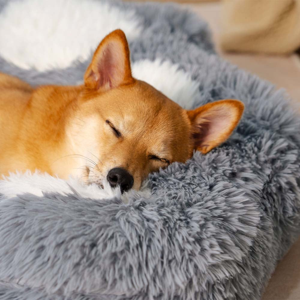 Lit pour chien confortable et antidérapant, lavable et moelleux, tache de patte