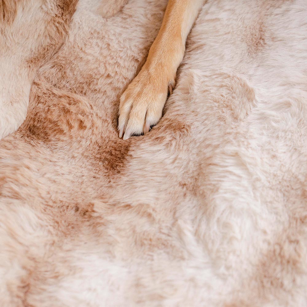 Fluffy acogedora manta calmante de mascota asiento para el asiento del asiento cubierta: surestep