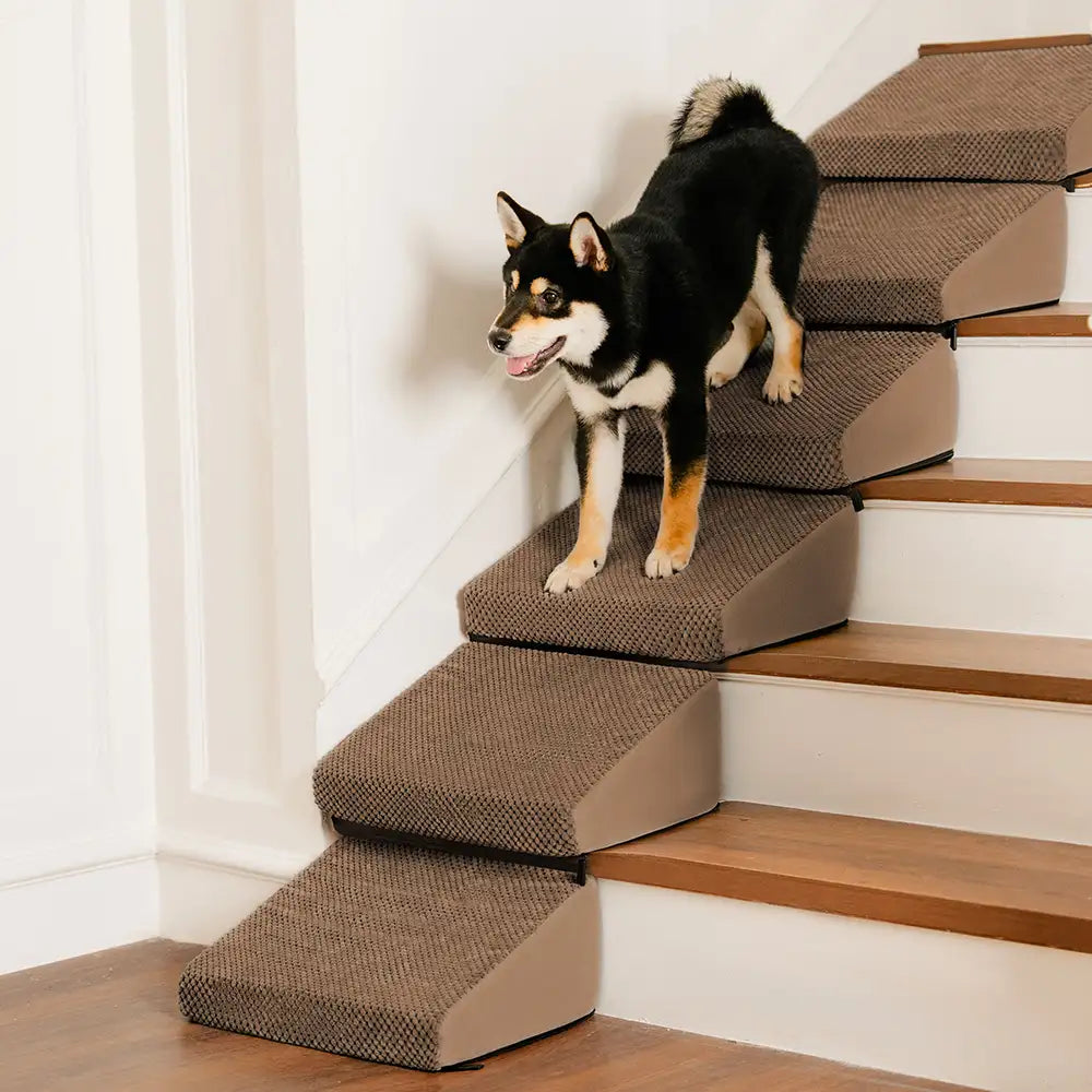 Modular Foam Dog Ramp Stairs for Staircase Stairs with Velcro