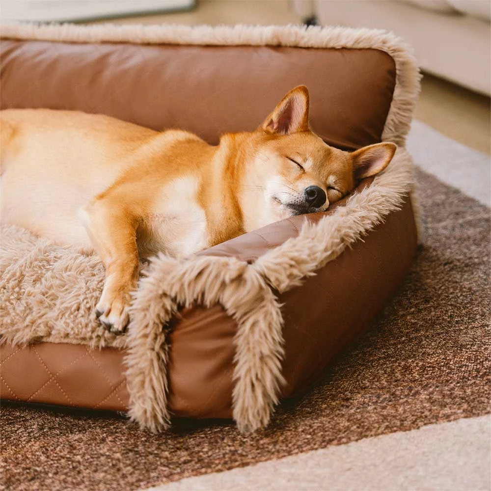 Luxe Faux Leather Plush Sponge Sponge Orthopedic Dog Bed - Calentamiento