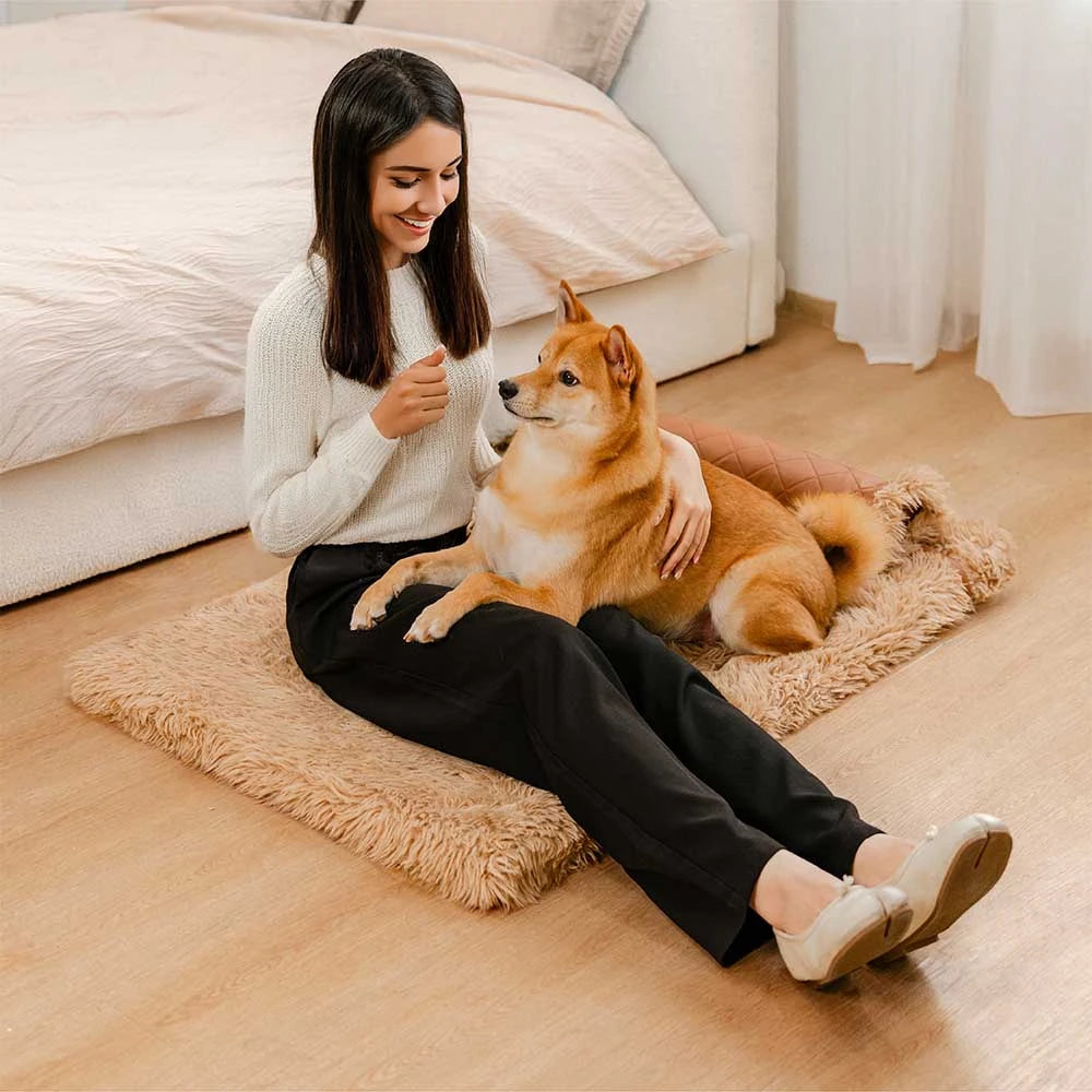 Cuero sinté de doble cara & Matina de perro esponjada de lujos de lujo cálido con almohada