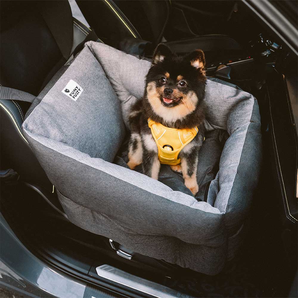 Proteção de viagem Booster Cama de assento de carro para cachorro elevada e espessa à prova d'água