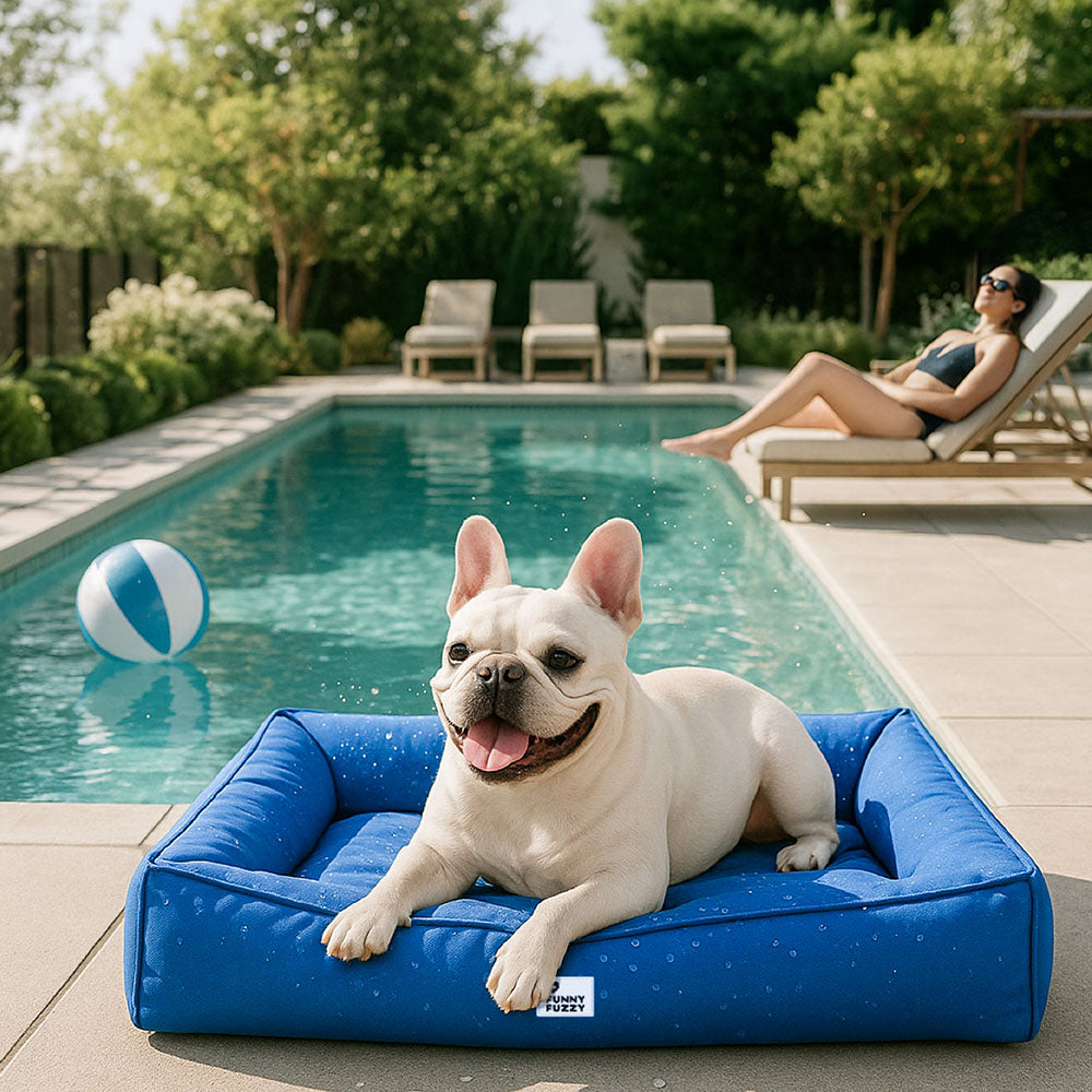 Lit pour grand chien imperméable à support surround entièrement orthopédique