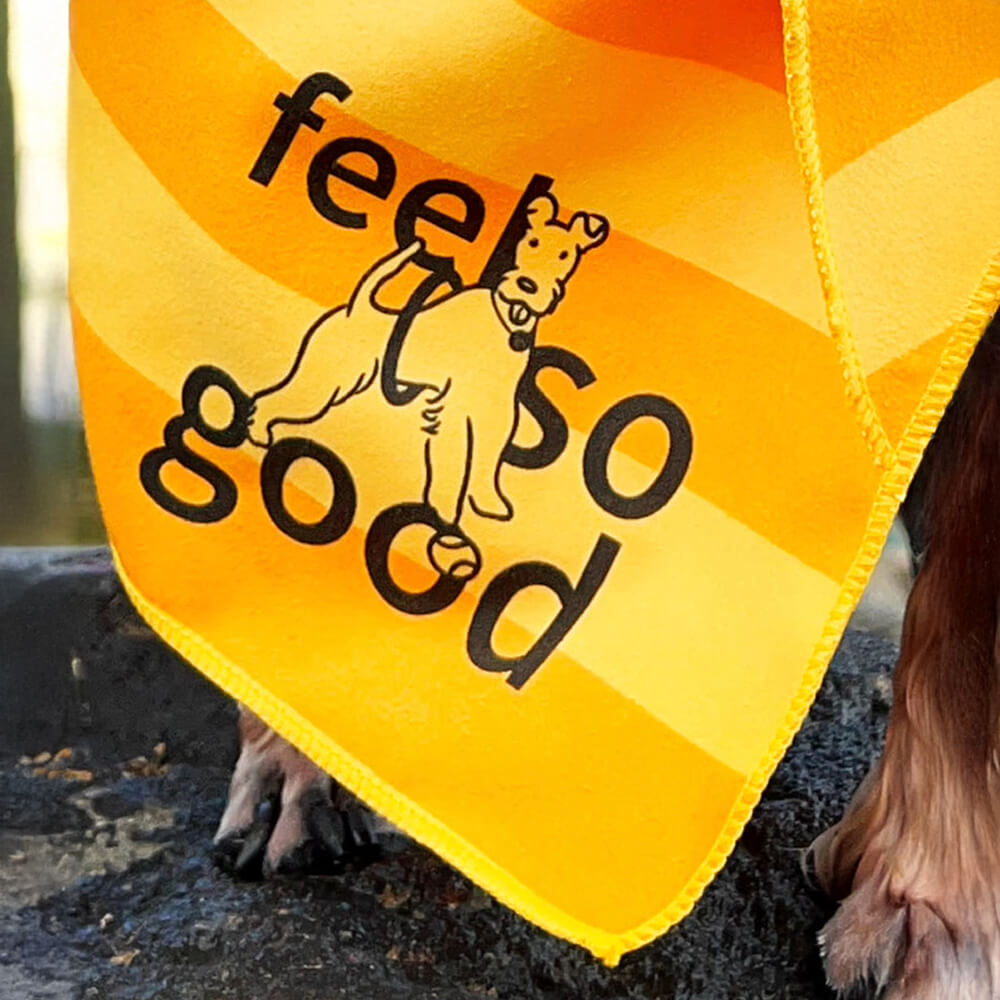 Manta de toalla para perros de viaje de color de viaje rápido ultra absorbente