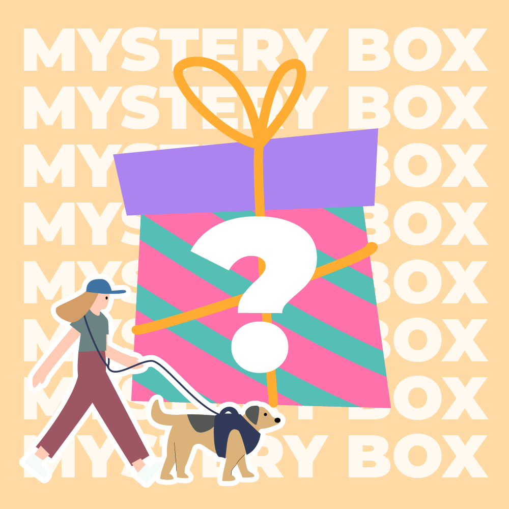 Mystery Box - Premium Leash - Random - 1pc