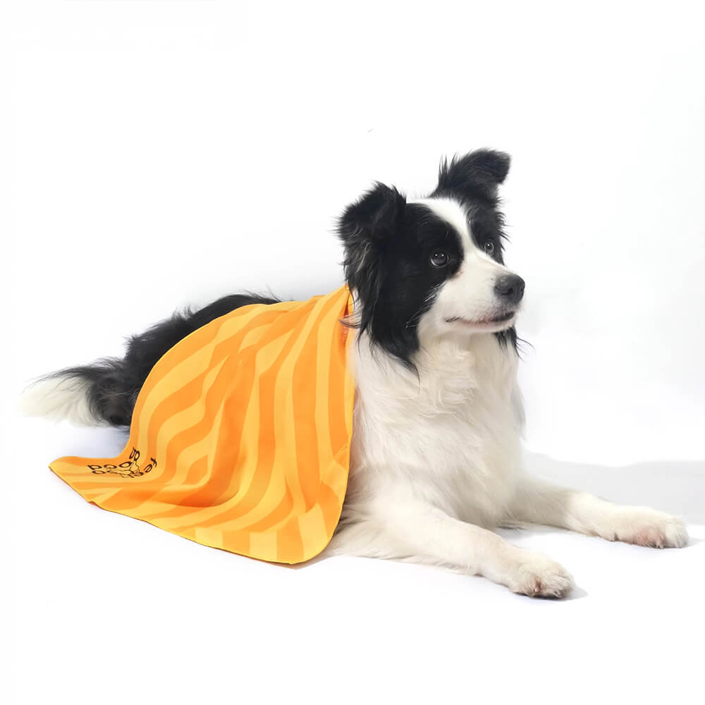 Manta de toalla para perros de viaje de color de viaje rápido ultra absorbente