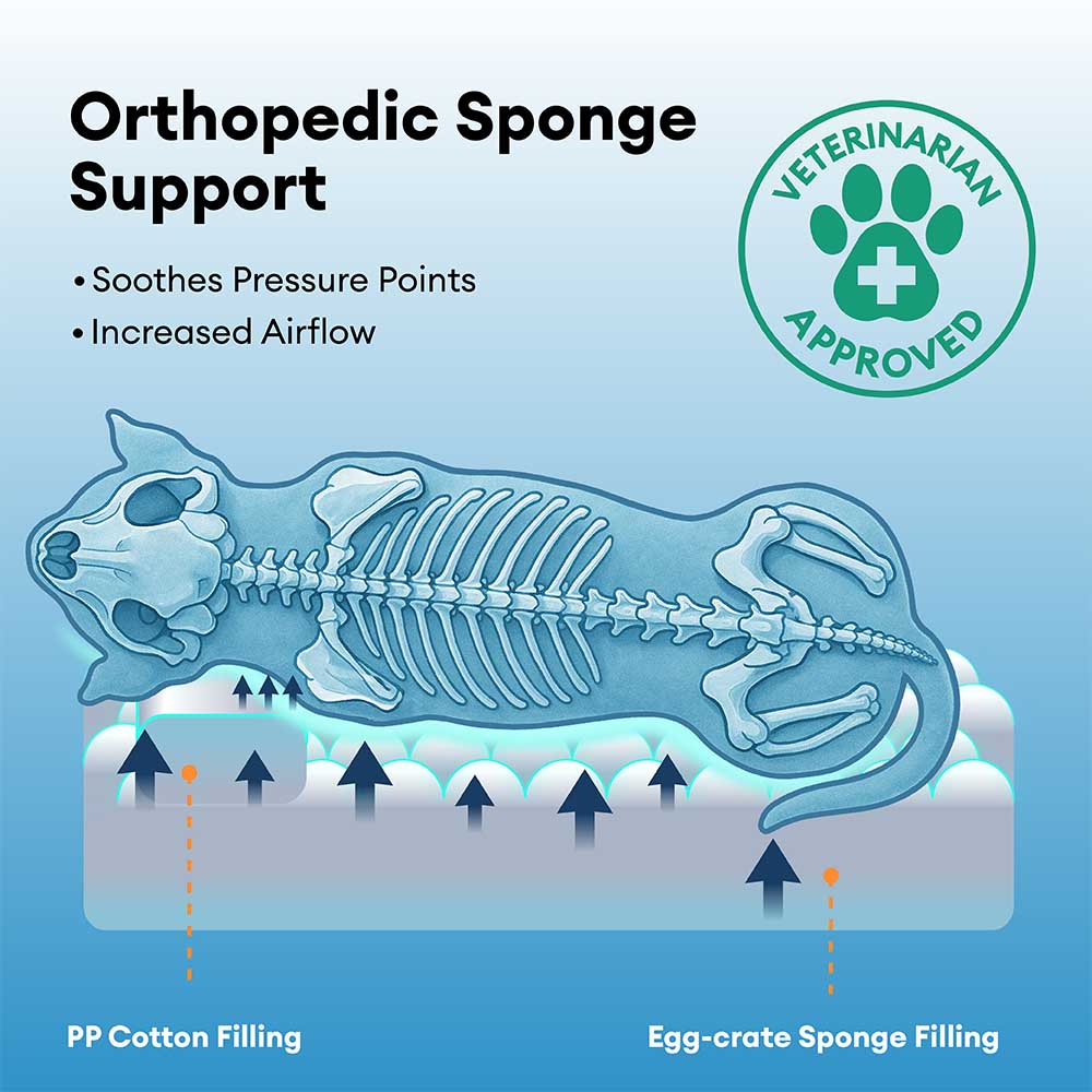 Anti-anxiété avec support en éponge Lit pour chien à sommeil profond