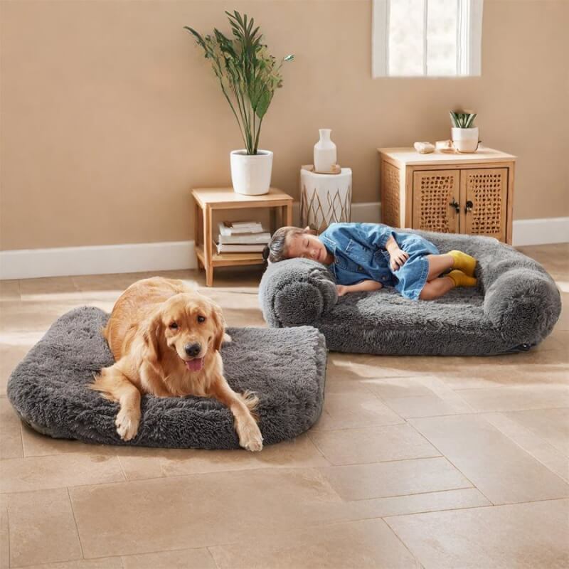 Cama de perros de perro grande y lujoso cama humana plegable