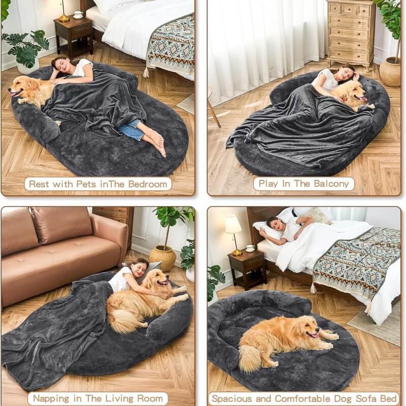 Cama de perros de perro grande y lujoso cama humana plegable