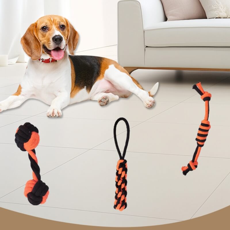 Juguete para perros duradero juguete interactivo Toy dentición y mastica