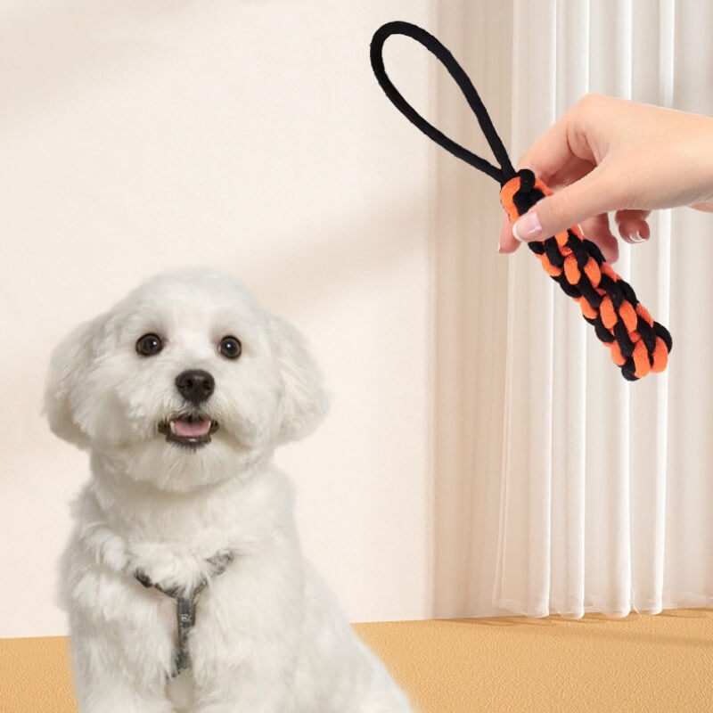 Juguete para perros duradero juguete interactivo Toy dentición y mastica