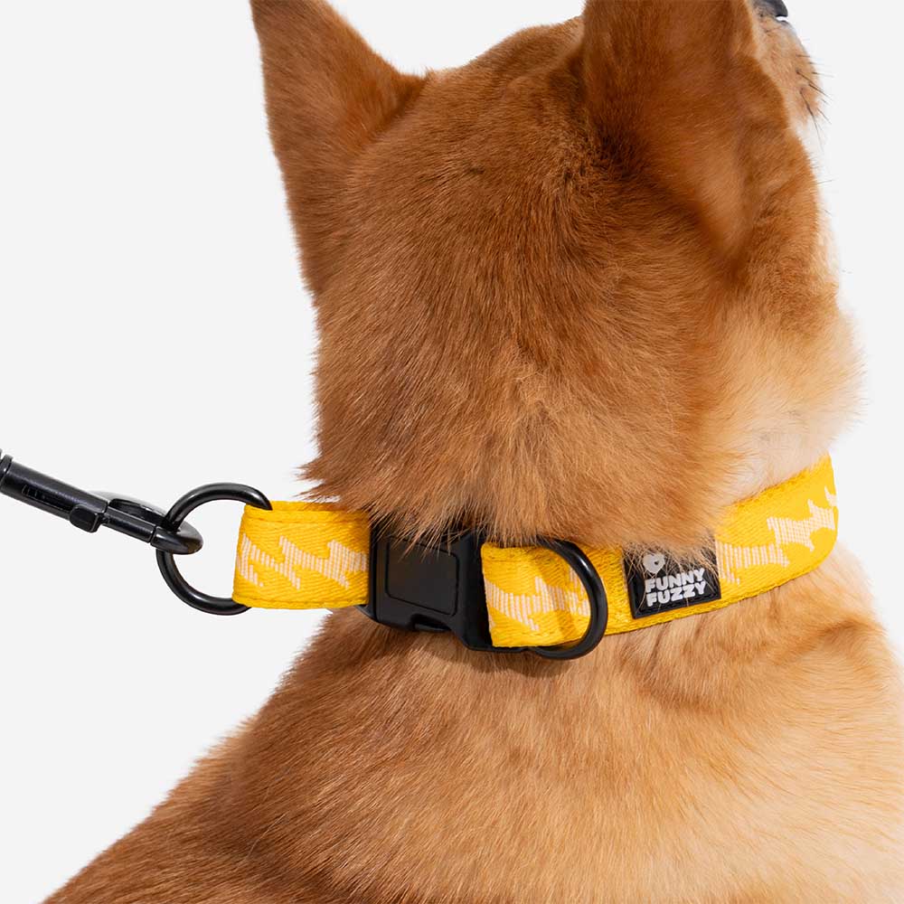 Funnyfuzzy Ajustable Nylon Durable Dog Collar - Flexi Walker