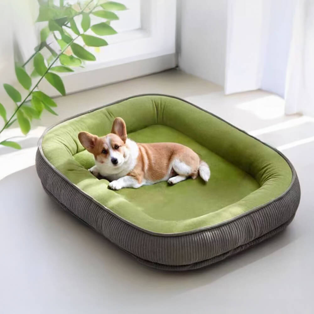 Durable Scratch-Resistant Suede Surface Dog Bed