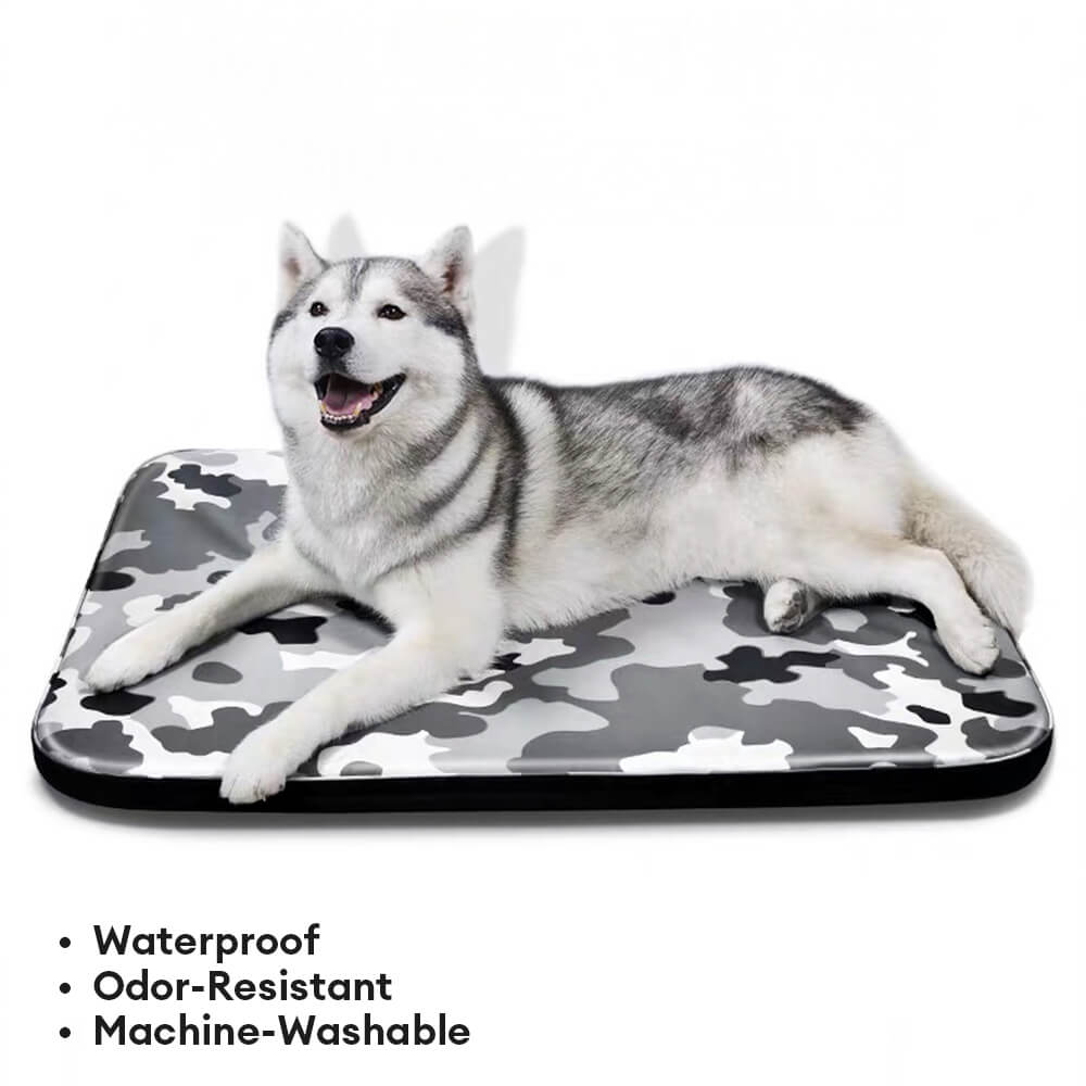 Modern Faux Leather Waterproof Odor-Blocking Hair-Resistant Dog Mat