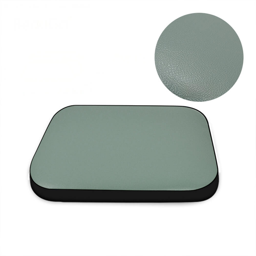 Modern Faux Leather Waterproof Odor-Blocking Hair-Resistant Dog Mat