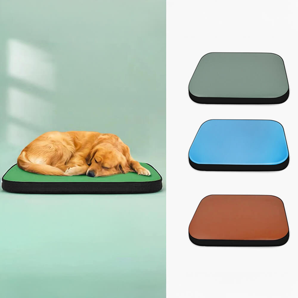 Modern Faux Leather Waterproof Odor-Blocking Hair-Resistant Dog Mat