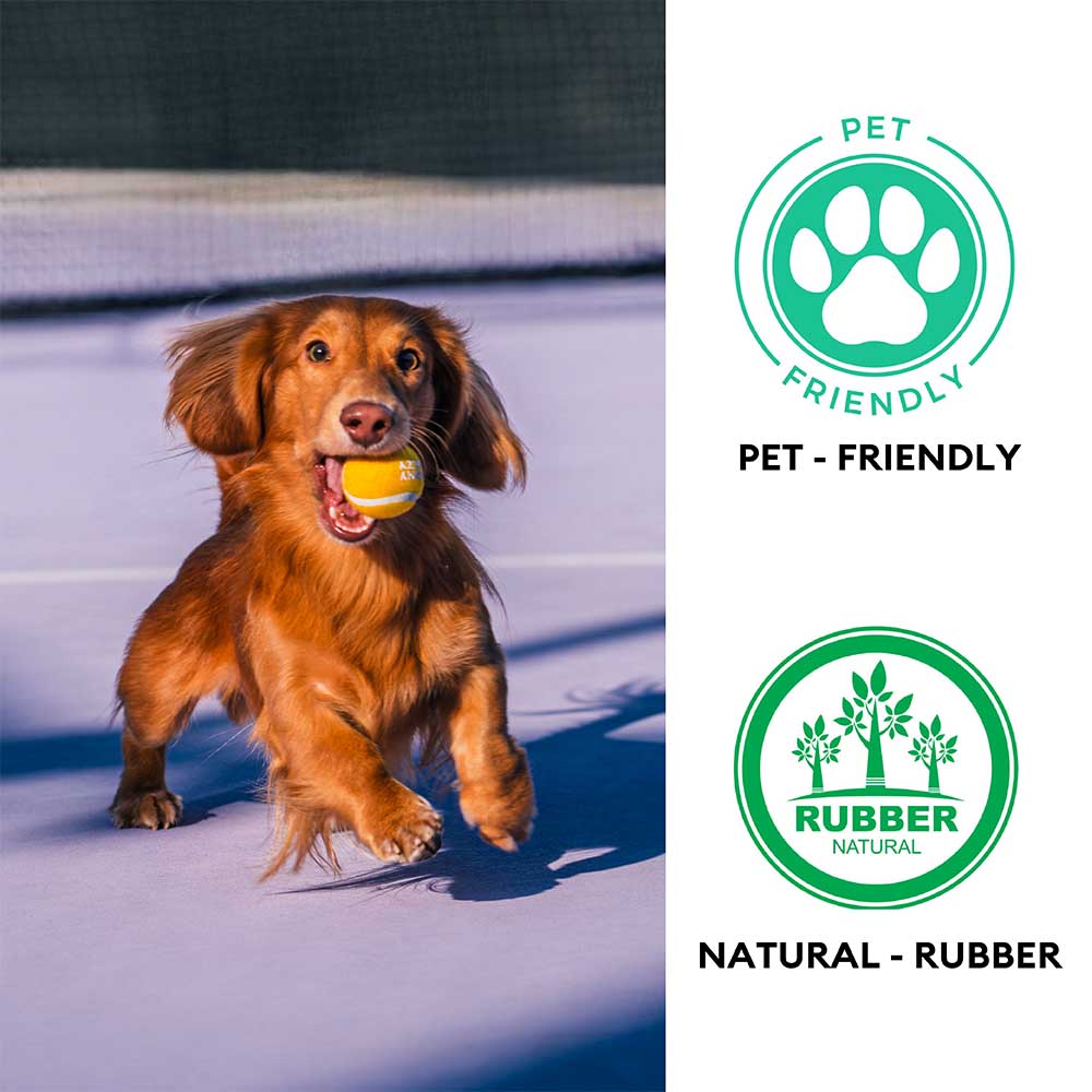 Juguete de perro de tenis Ball - Squeaky & Bounce