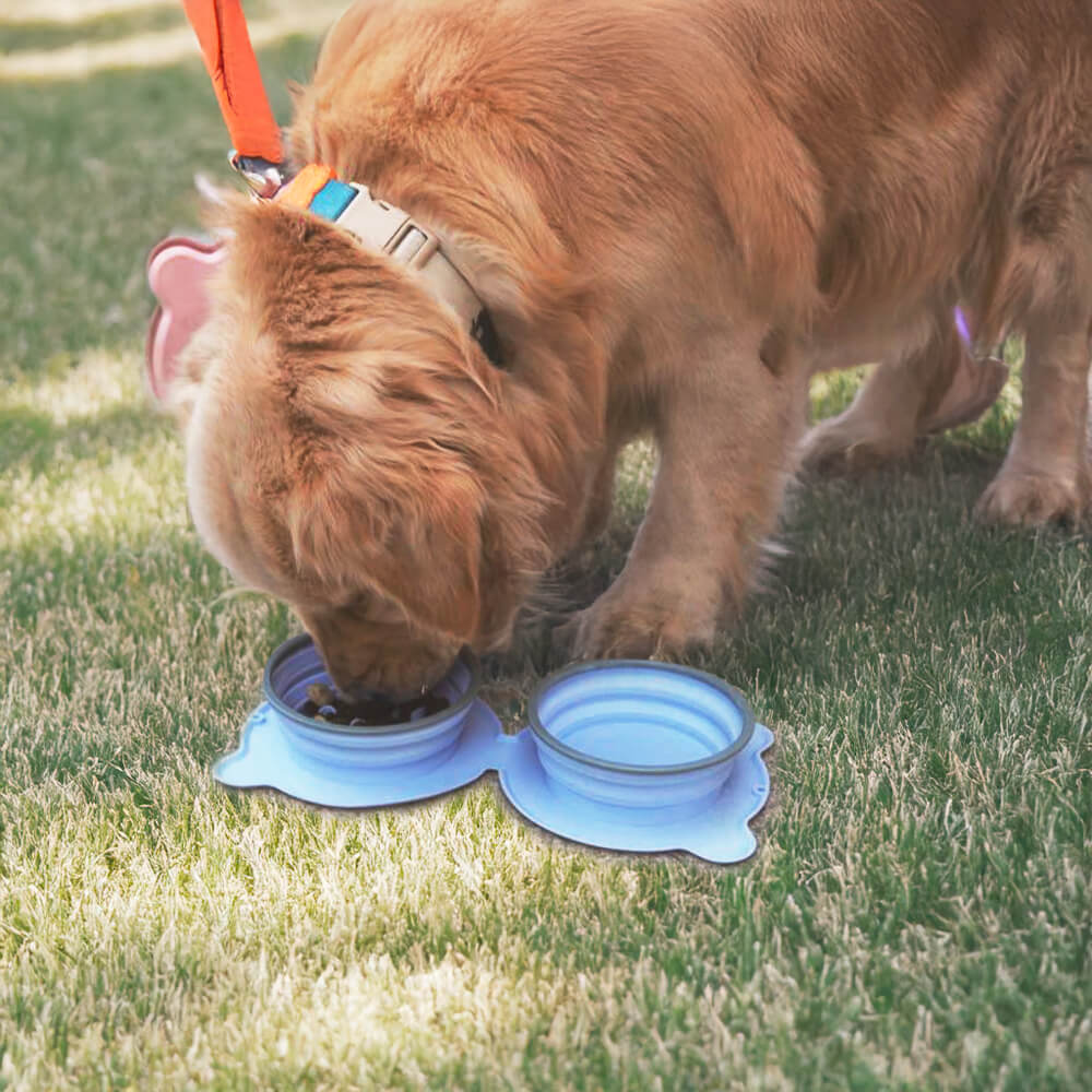 Tazón de agua de perros plegable no tóxico de silicona