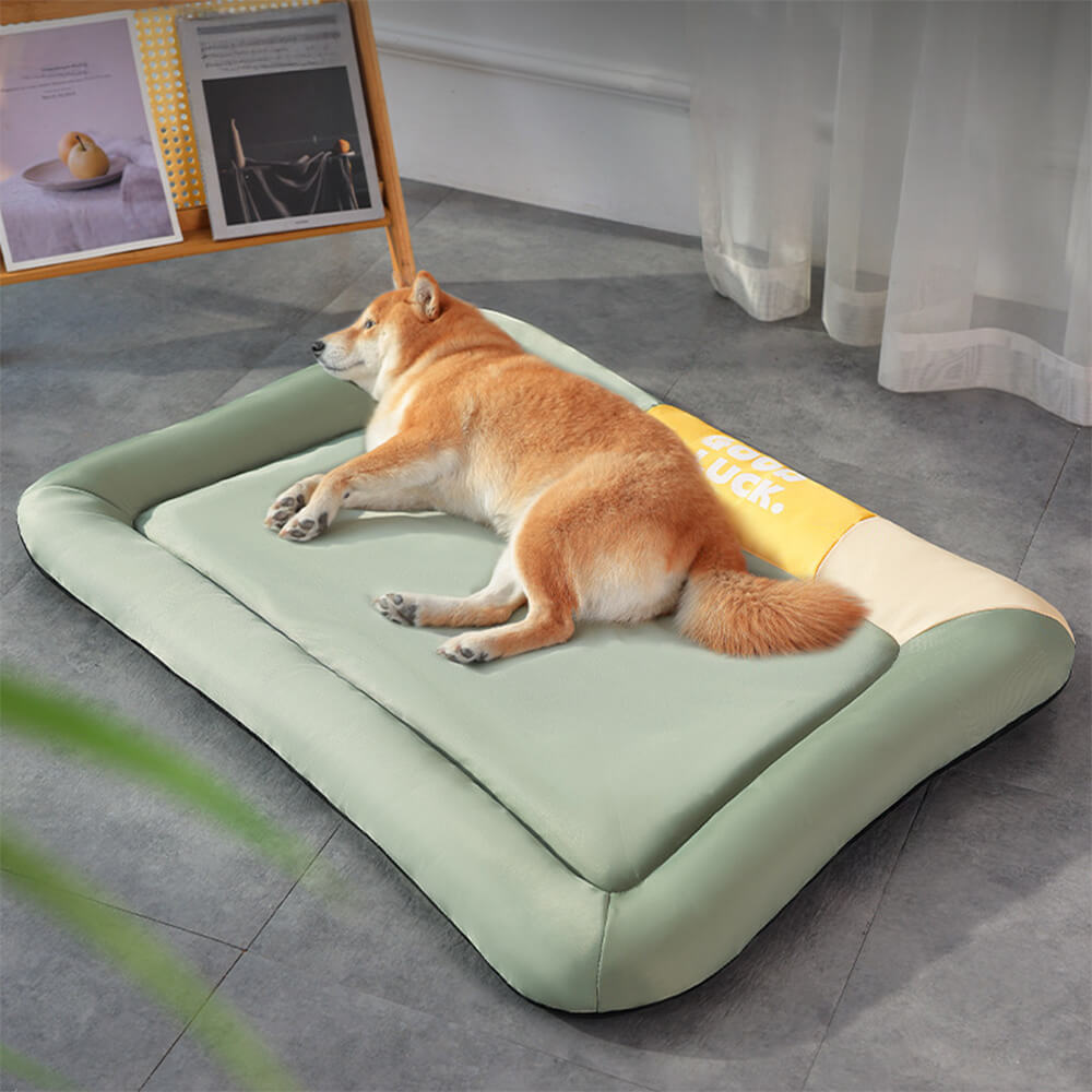 Colorblock Waterproof Scratch-Resistant All-Season Dog Mat