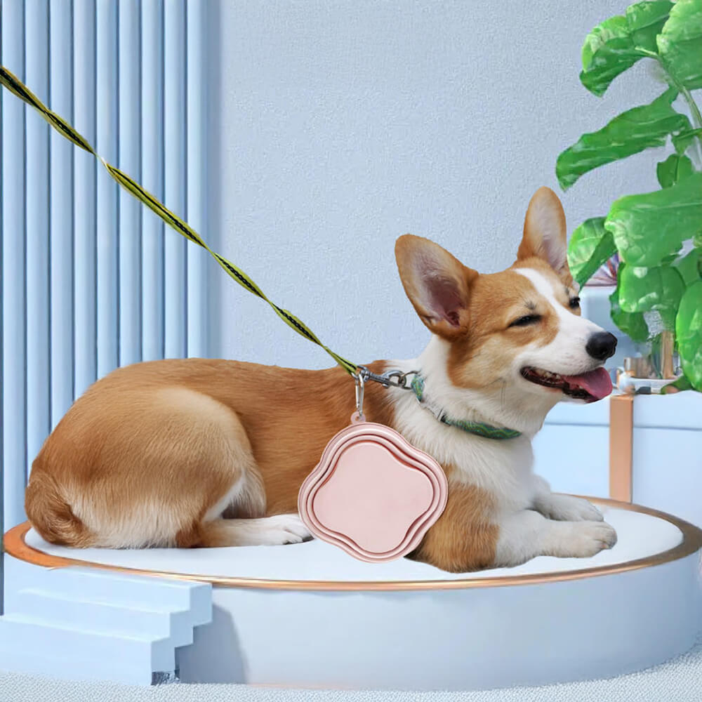 Tazón de agua de perros plegable no tóxico de silicona