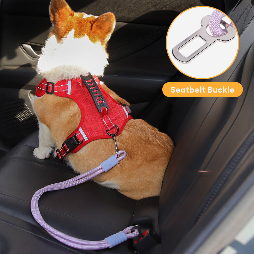 Anti-pull Nylon Dog Car Seat Safety Belt