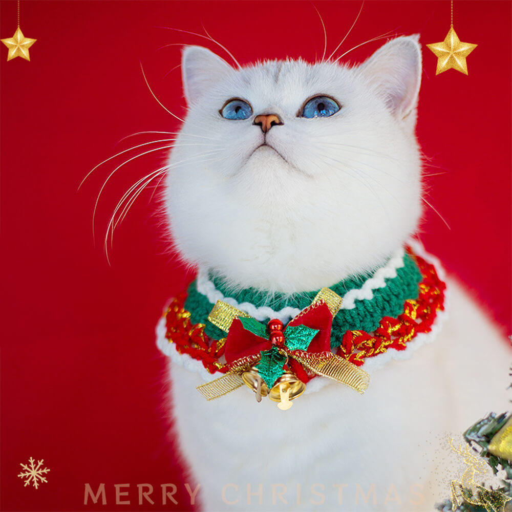 Weihnachts-Weihnachtsmann-Strickschal, passende Socken für Haustier und Besitzer