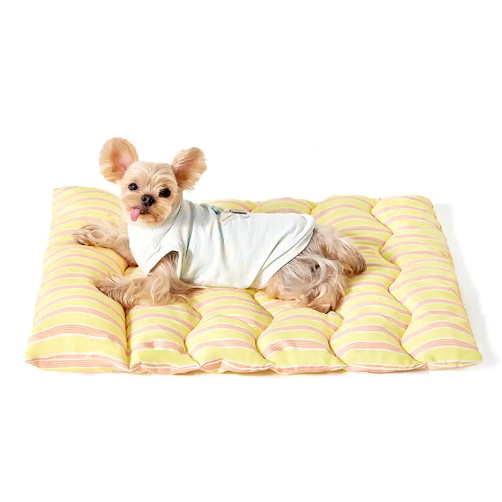 Color-Blocked Striped Breathable Double-Sided Soft Pet Mat