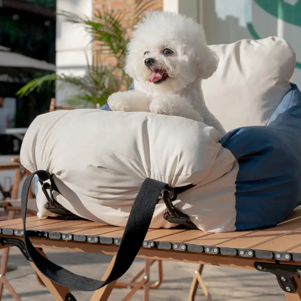 Color-block Travel Booster Multi-Functional Dog Car Seat Bed