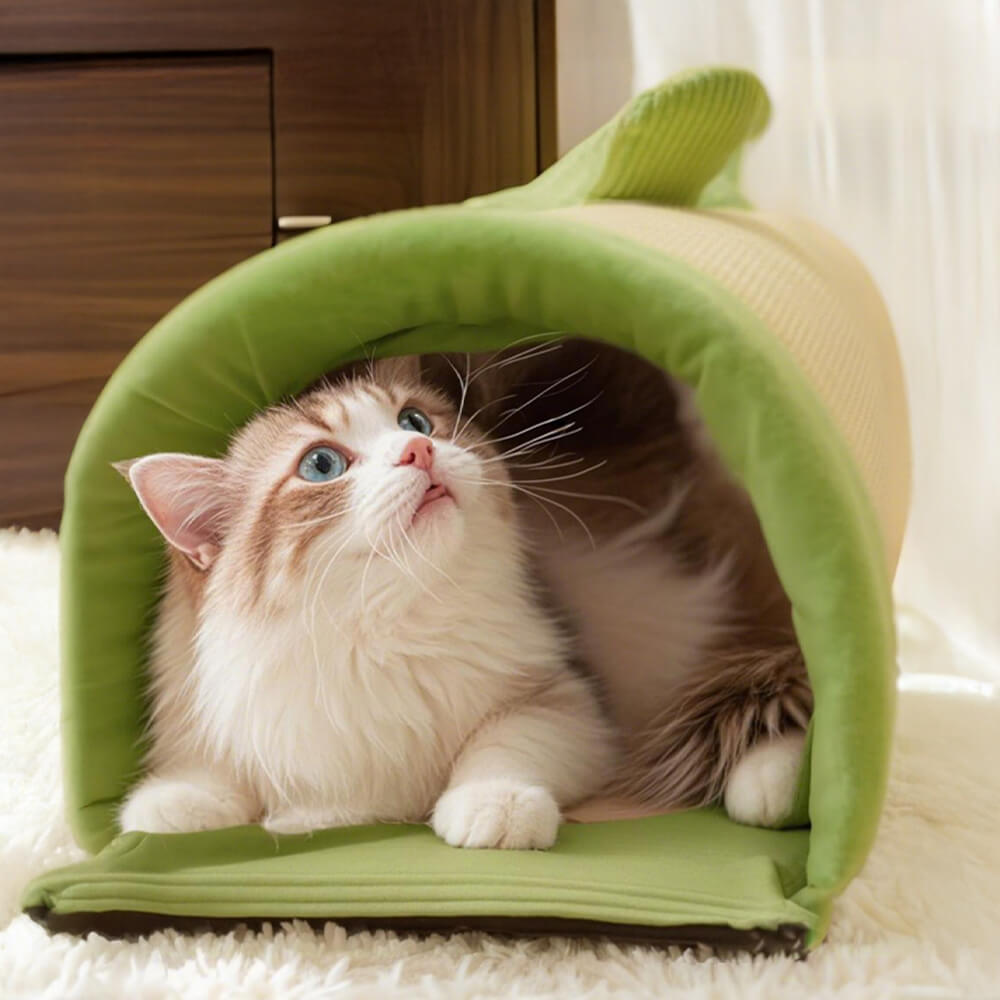 Cozy Spacious Play and Sleep Cat Tunnel Bed