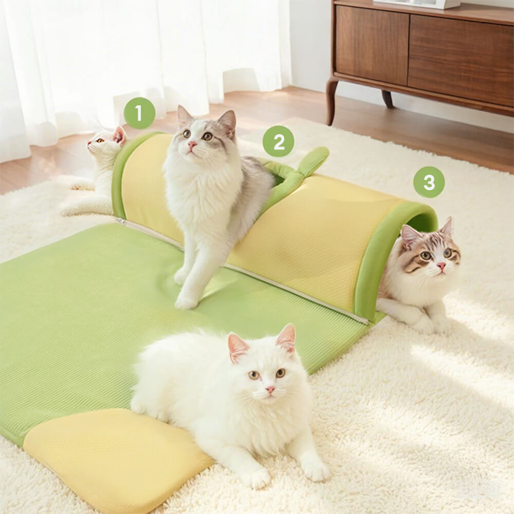 Cozy Spacious Play and Sleep Cat Tunnel Bed