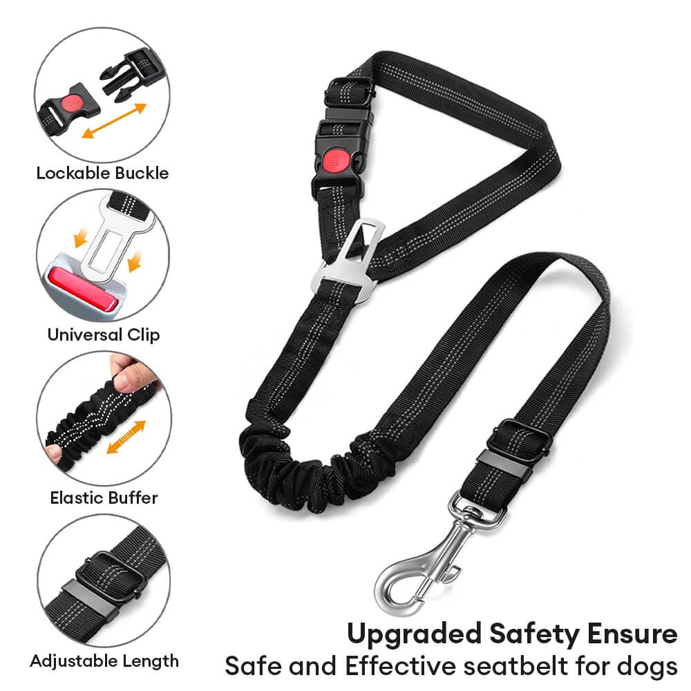 Cinturón de seguridad para el automóvil para perros para el reposacabezas del vehículo