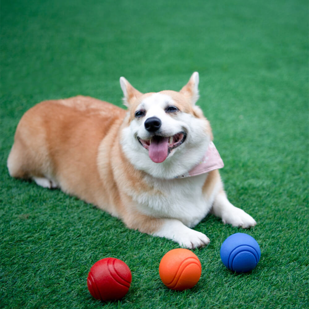 Elastic Squeaky Ball Toy Floating Water Ball Dog Chew Toys