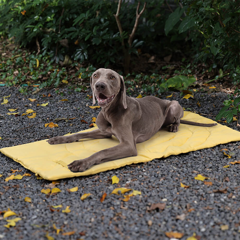 Tapis de siège de voiture portable et pliable pour chien, tapis de camping pour chien