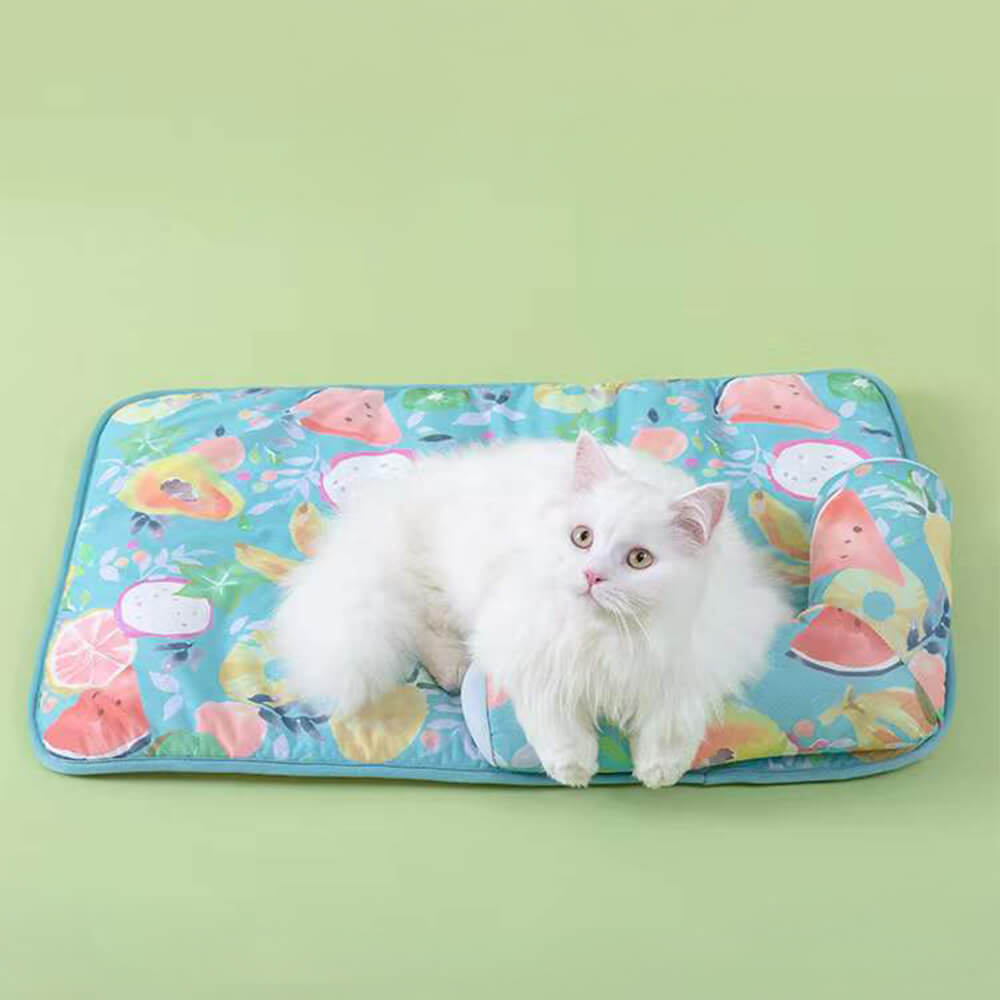 Estampado de frutas enfriando hielo seda de seda y alfombra de gato con almohada