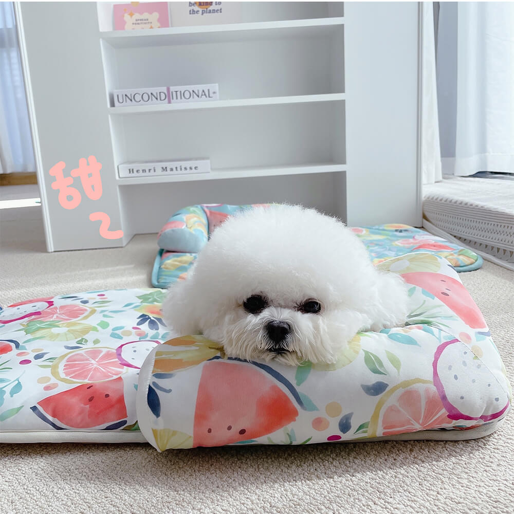 Estampado de frutas enfriando hielo seda de seda y alfombra de gato con almohada