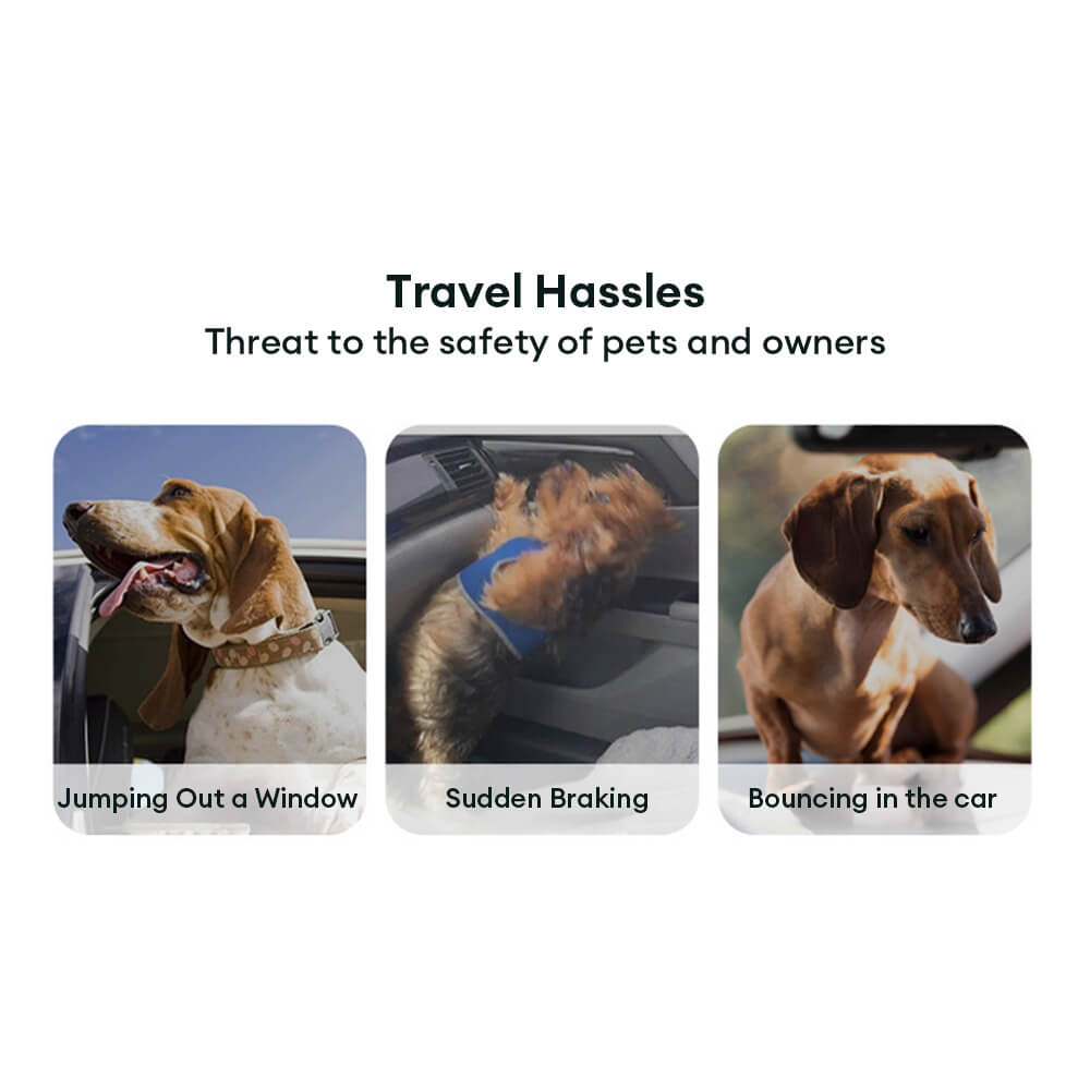 Gradient Elastic Shock-Absorbing Pet Car Safety Belt