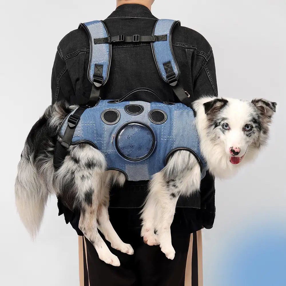 Hands-Free Dog Backpack Carrier for Travel & Hiking – Multifunctional Pack for Medium Dogs