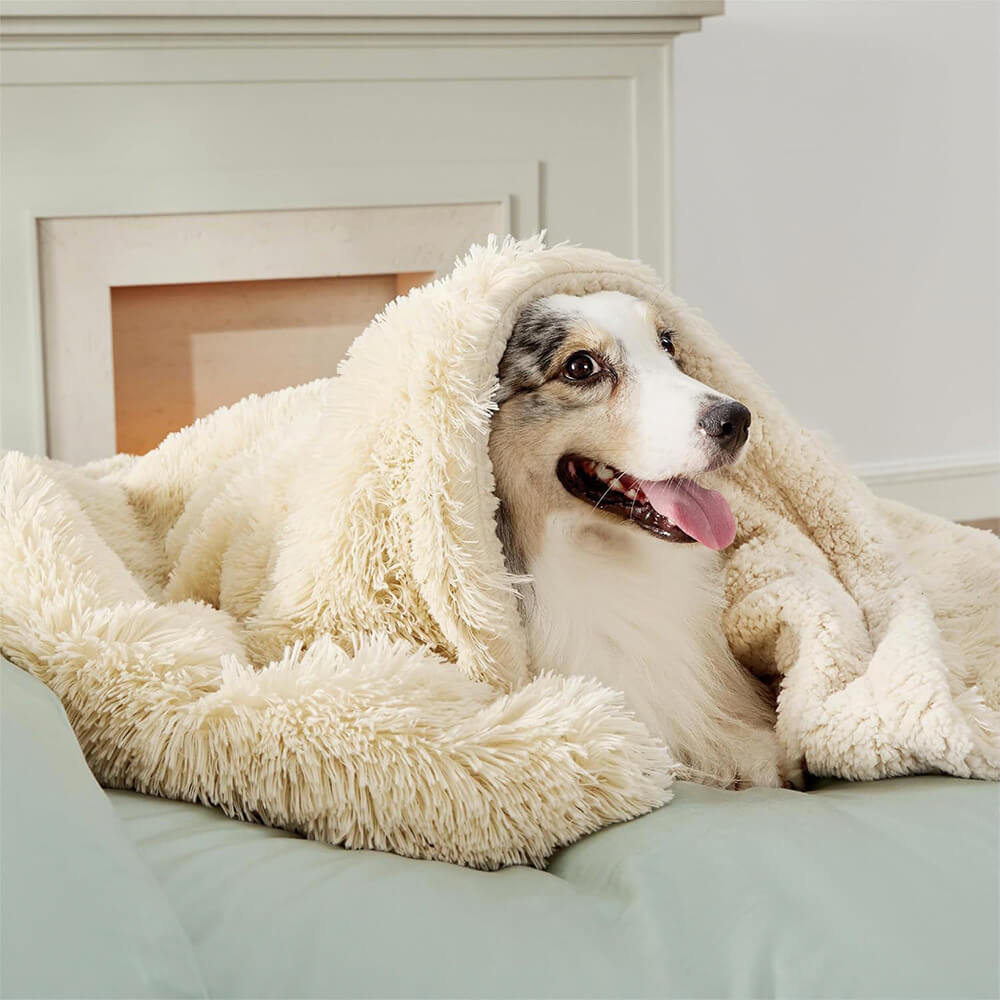 Luxurious Water Water Water Water Plush Warm Warm Multi-Purpose Home Dog Maneta de perros