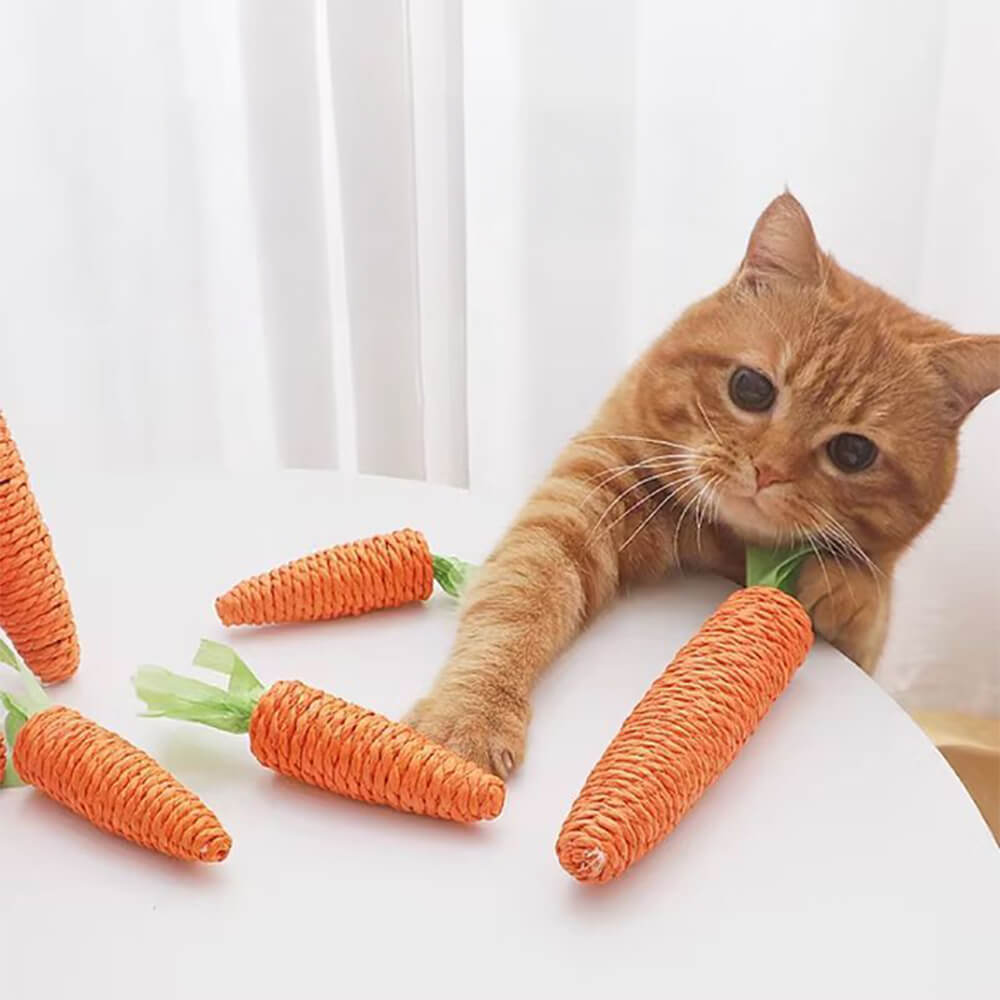 Toy de dentición de gato de zanahoria sisal sisal