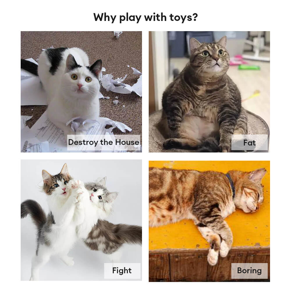 Copa de succión Toy de gato interactivo de plumas de plumas