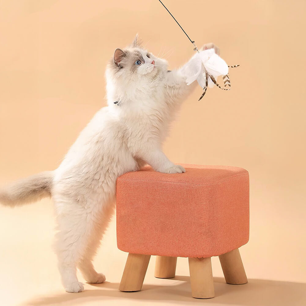 Copa de succión Toy de gato interactivo de plumas de plumas