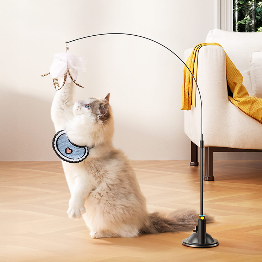 Copa de succión Toy de gato interactivo de plumas de plumas