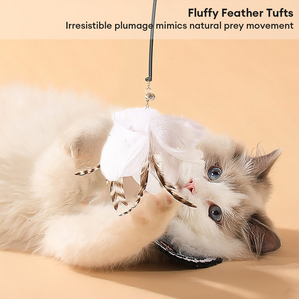 Copa de succión Toy de gato interactivo de plumas de plumas