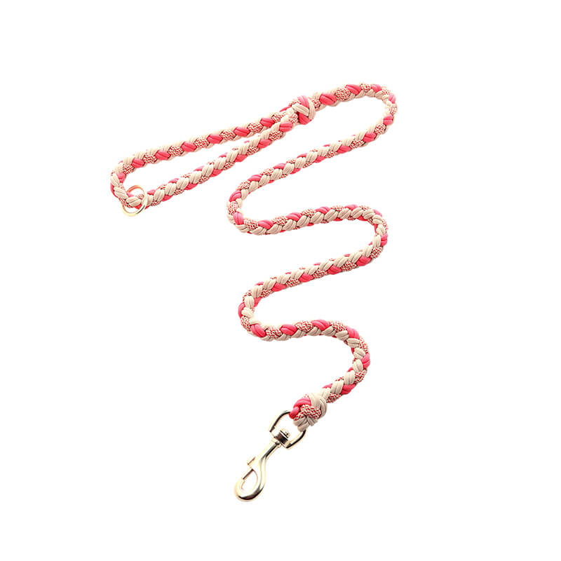 Collar de perros anti-Pull de cuero tejido a mano y set de correa