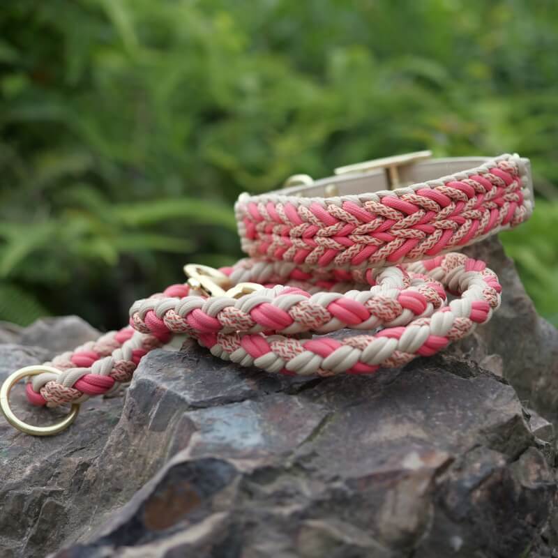 Collar de perros anti-Pull de cuero tejido a mano y set de correa