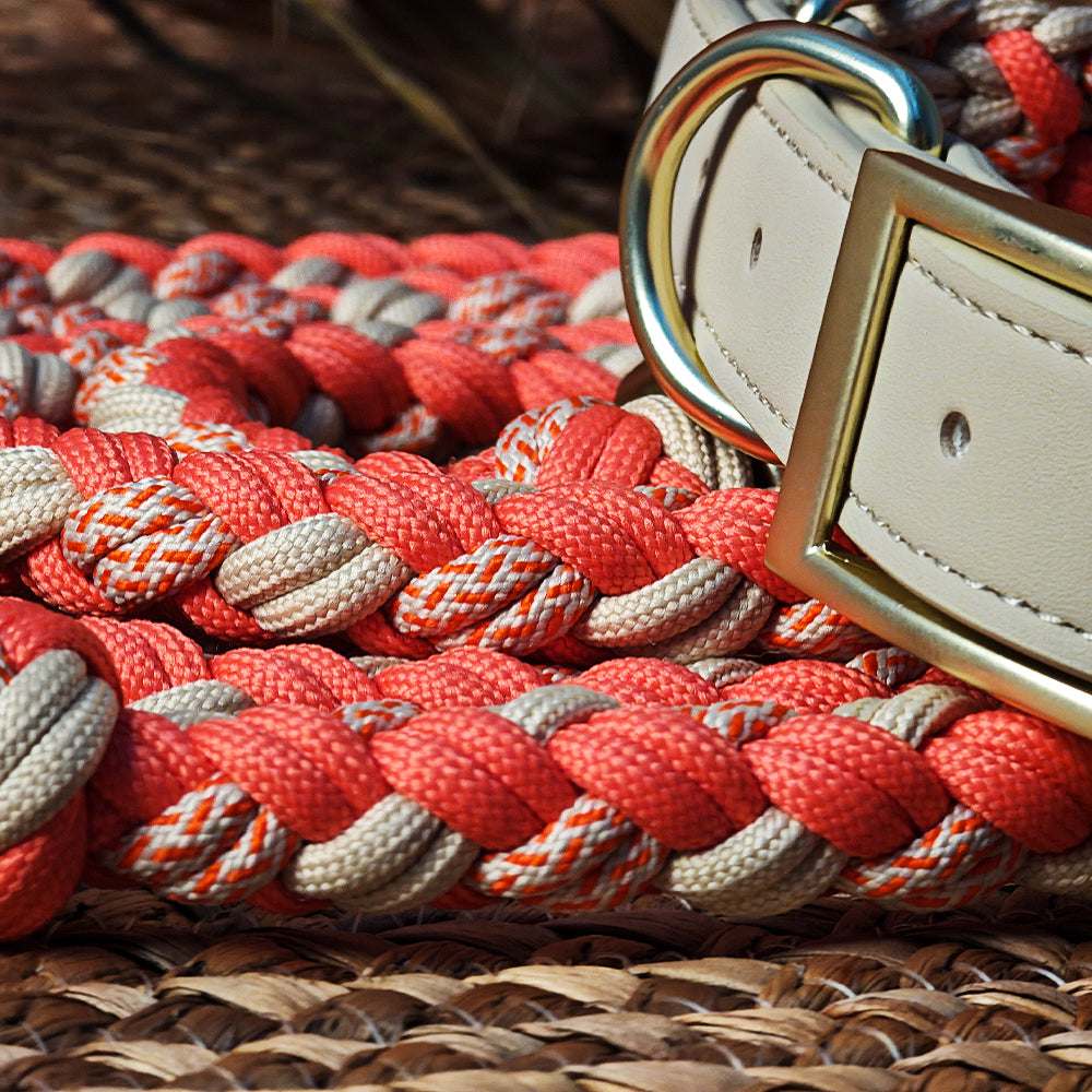 Collar de perros anti-Pull de cuero tejido a mano y set de correa