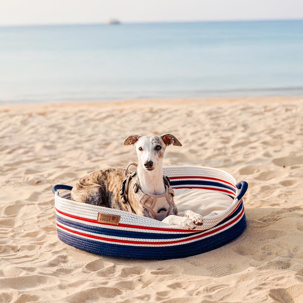 Handmade Lightweight Cotton Woven Beach Bag Pet Carrier- Summer Vacation